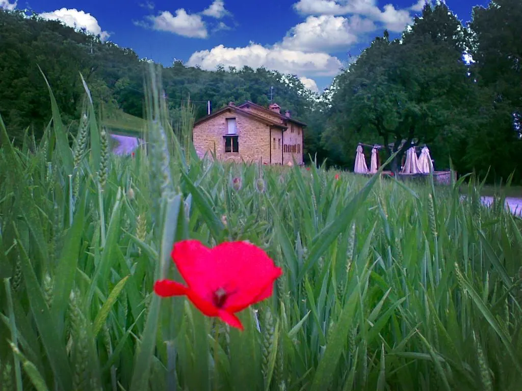 Villa La Cartiera Dei Benandanti Monghidoro 0*,